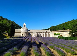 Abbaye de Sénanque ©pervoqfirst