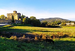 Château de Lourmarin ©pervoqfirst